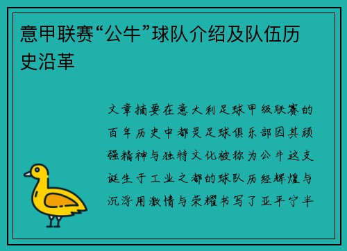 意甲联赛“公牛”球队介绍及队伍历史沿革